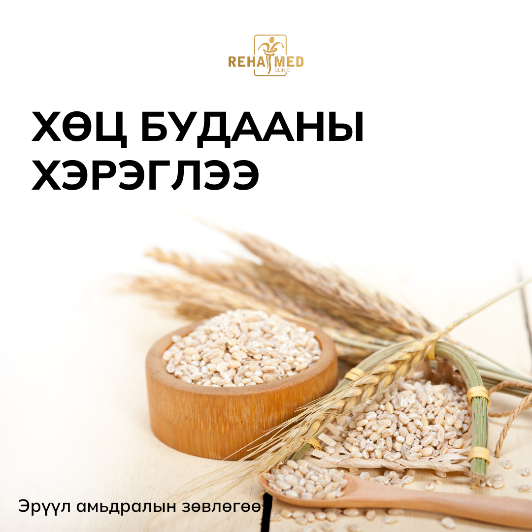 Хөц будааны хэрэглээ – Rehamed